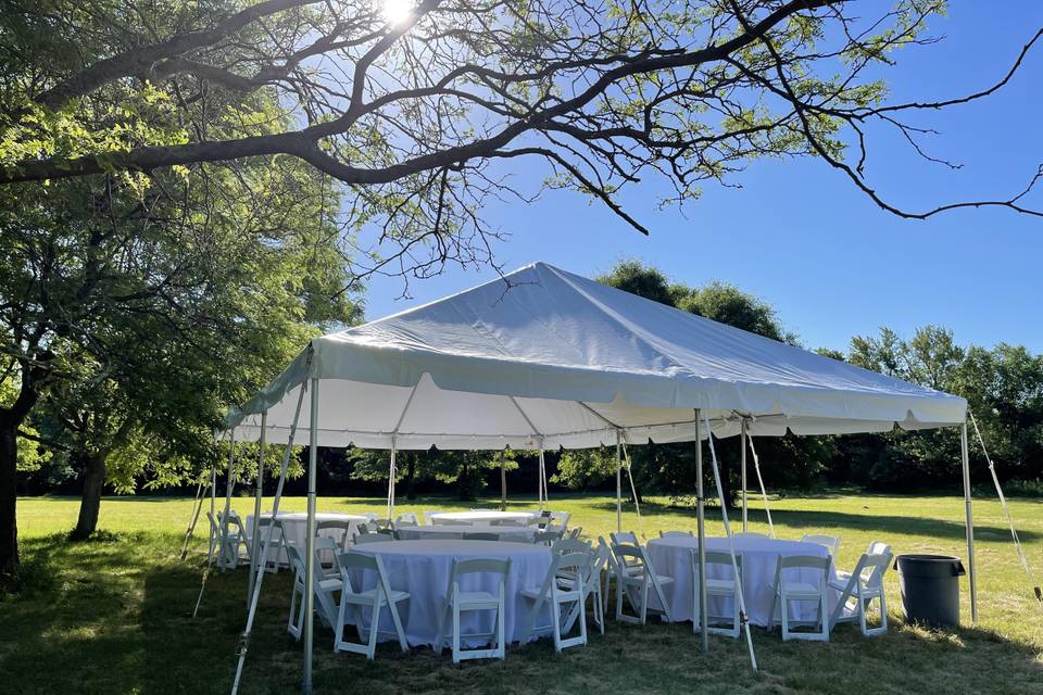 Forest Preserve Wedding