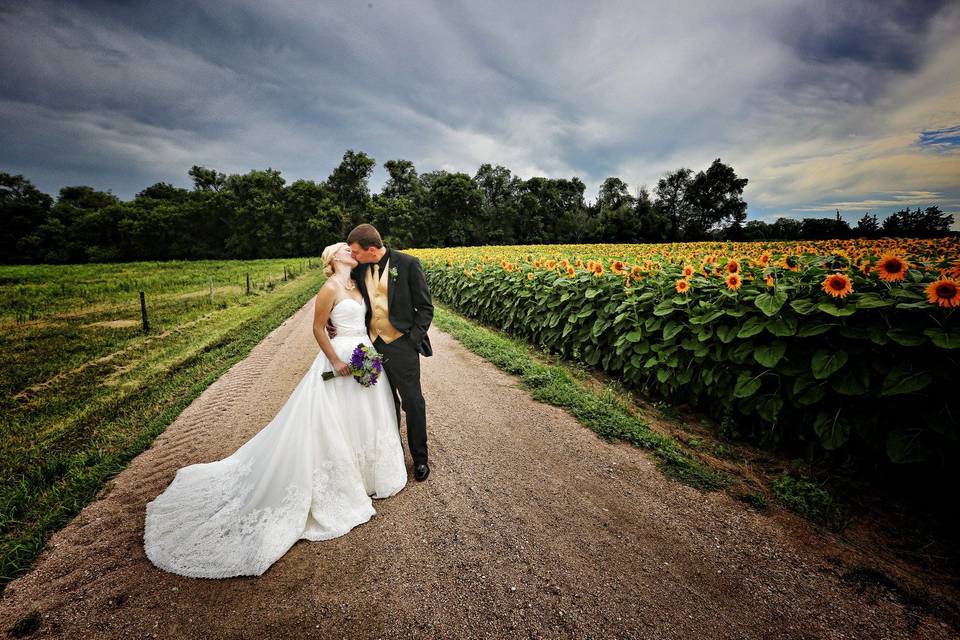 A kiss by the sunflower field