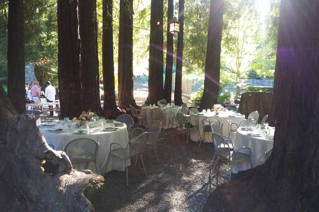 Mangia Nosh Catering