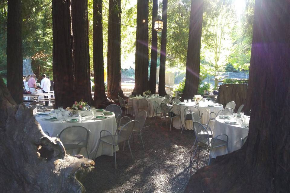 Mangia Nosh Catering