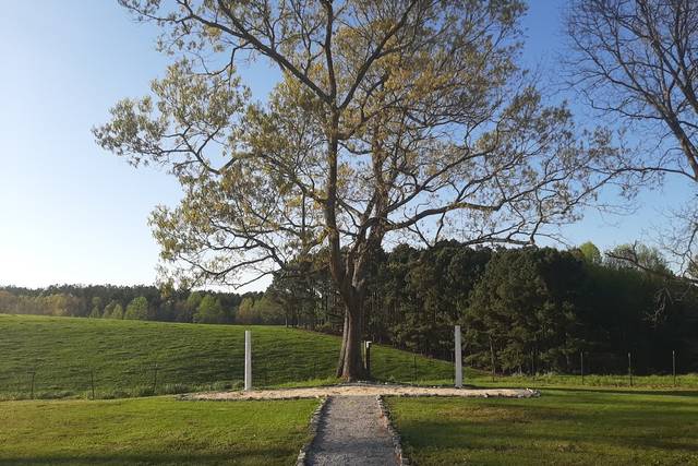 Oak Tree site
