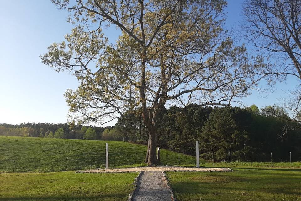 Oak Tree site