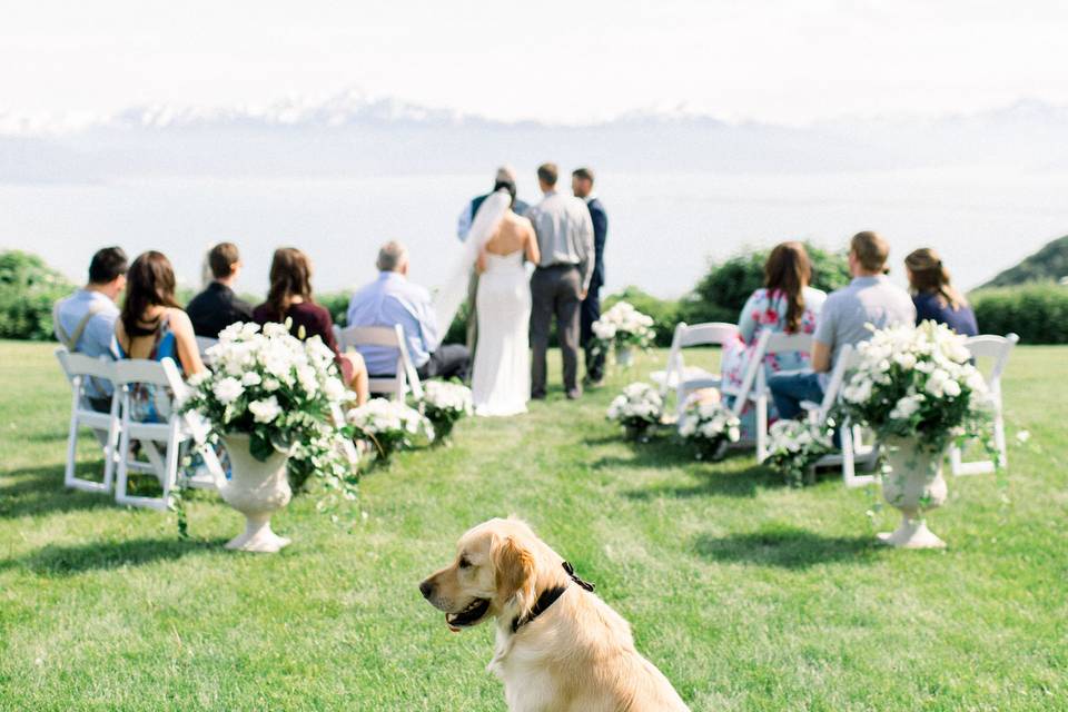 Bryce and Valerie, dog