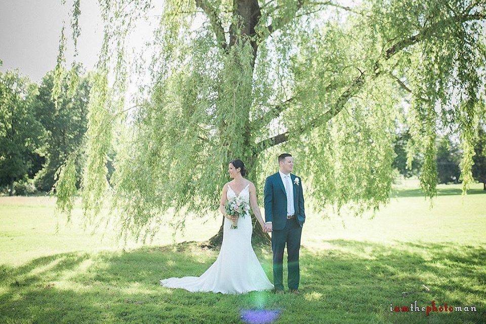 Wedding picture willow tree