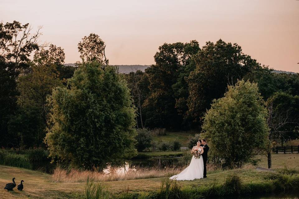 Photo by the pond