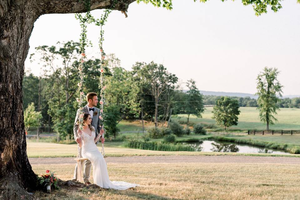 Tree swing with pond view