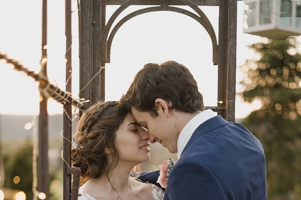 Photo in the greenhouse