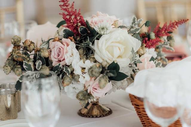 Beya Johnson Photography