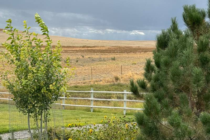 Diamond J Farm