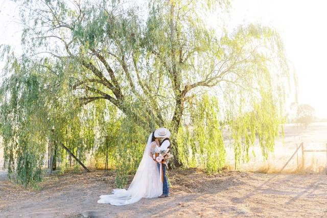 Willow Photo Spot