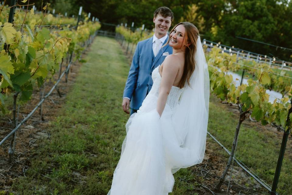 Details in the Vineyards