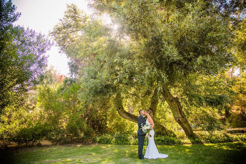 Couple kissing under tree