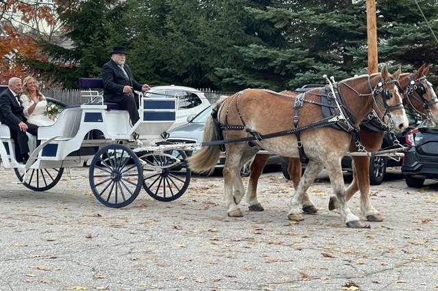 Bride's Arrival