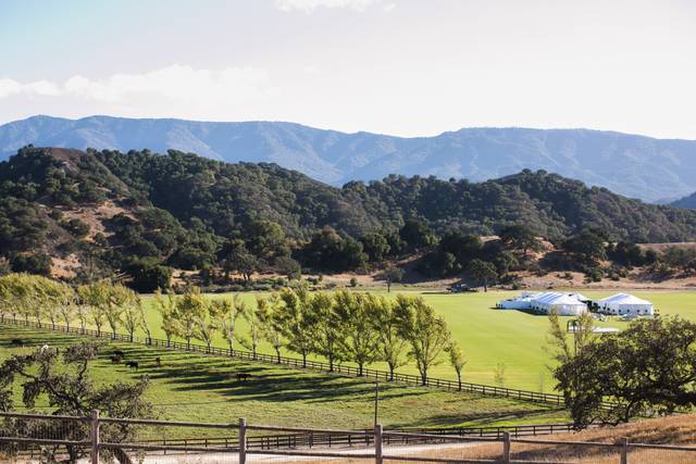 Happy Canyon Vineyard