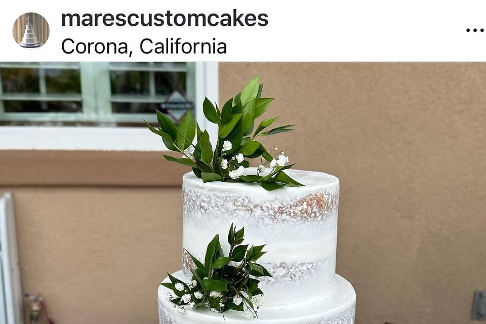 Semi naked Cake