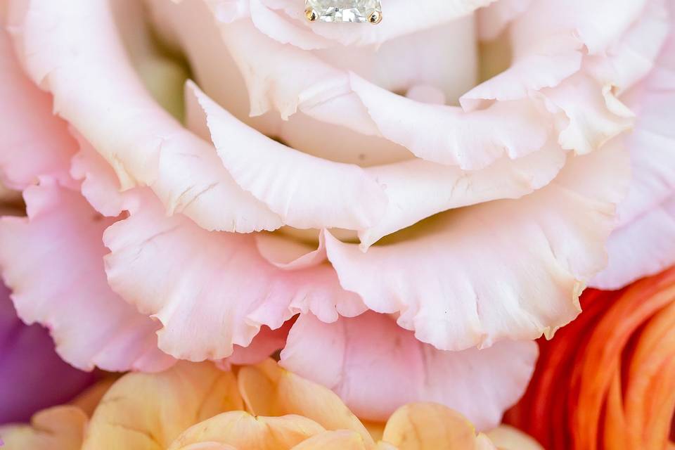 Engagement Ring Details