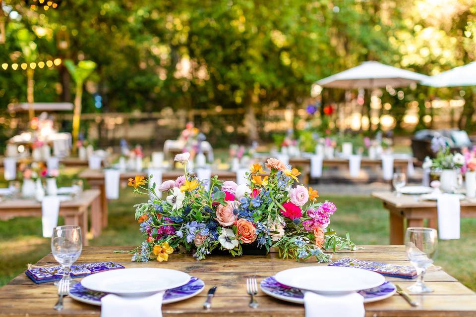 Colorful Backyard Reception