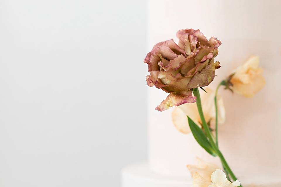 Minimalist Wedding Cake