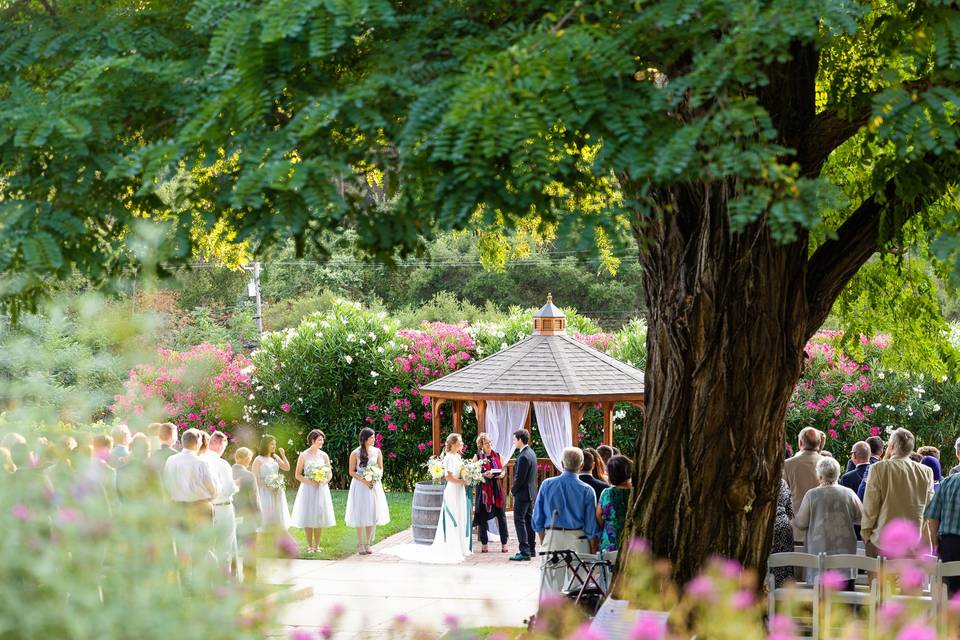 Wedding Ceremony