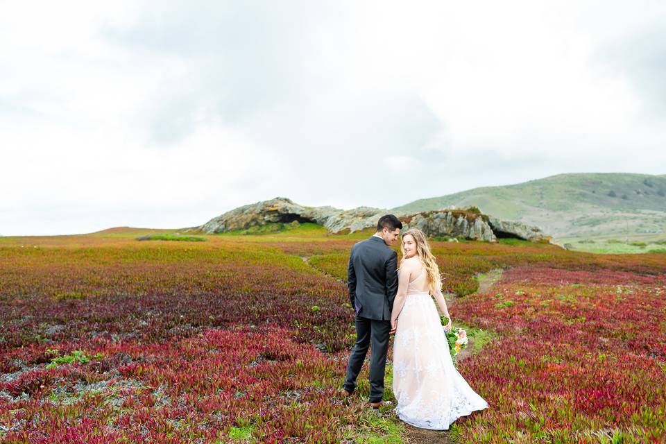 Bodega Bay Elopement