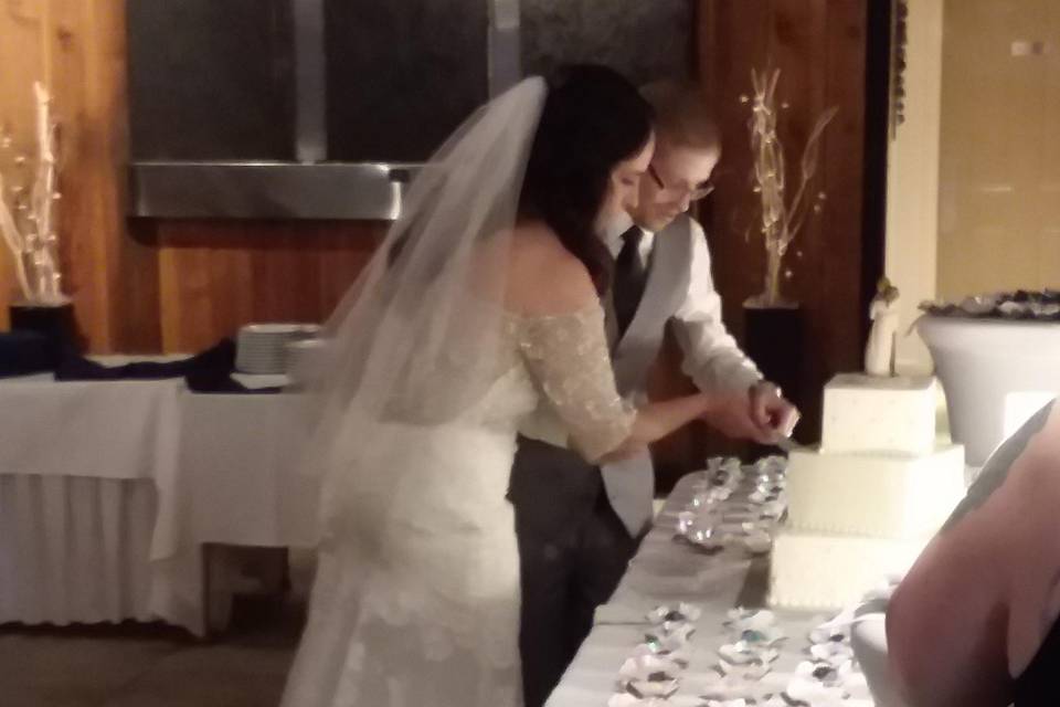 Cake cutting