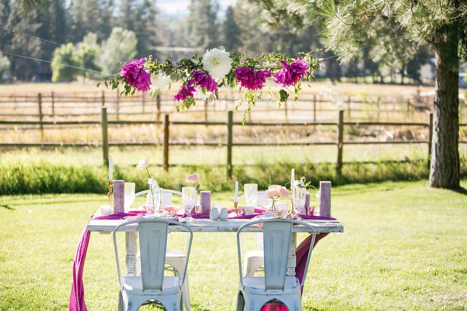 Dinner plate dahlias