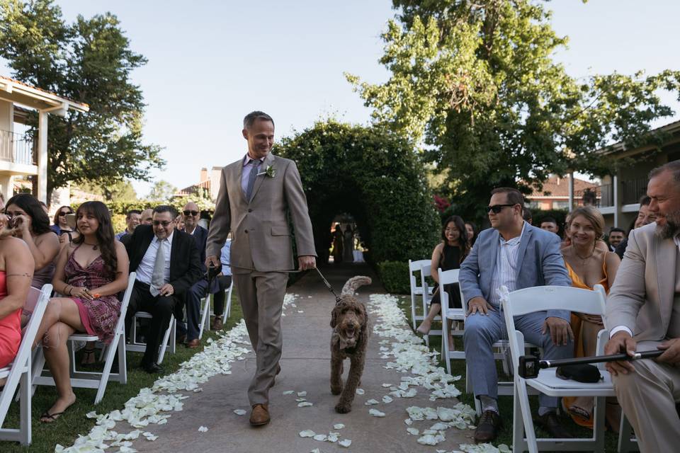 Pup in the wedding
