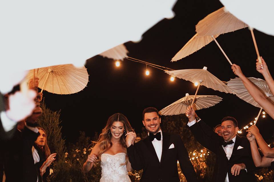 Grand entrance for the couple