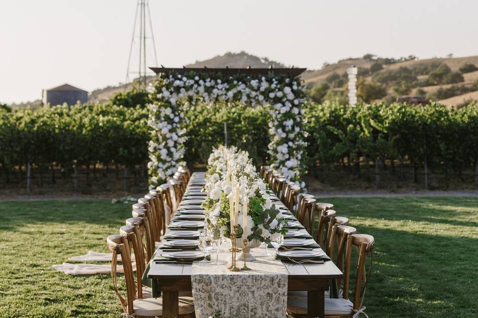 Los Olivos vineyard wedding