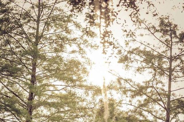 Outdoor ceremony facing the lake