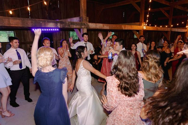 Latin/American Wedding party