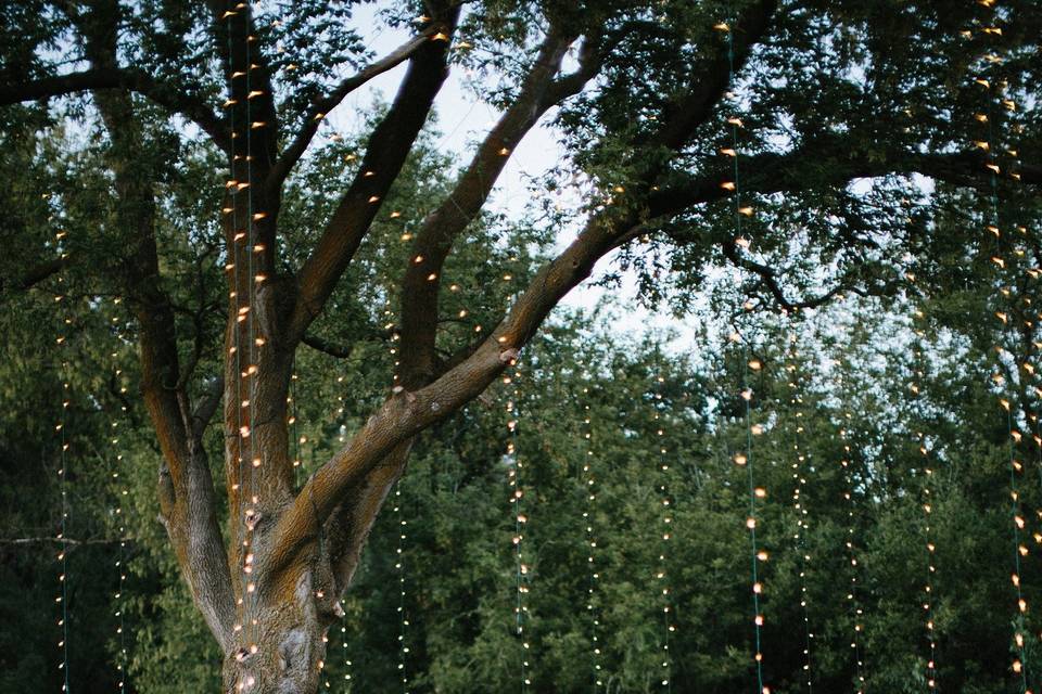 Romantic outdoor kisses