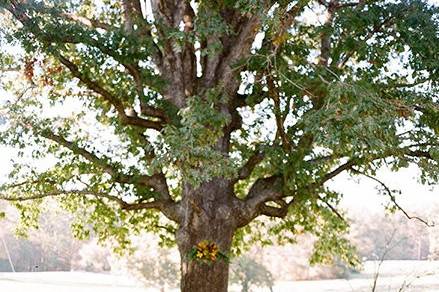 Autumn ceremony setup