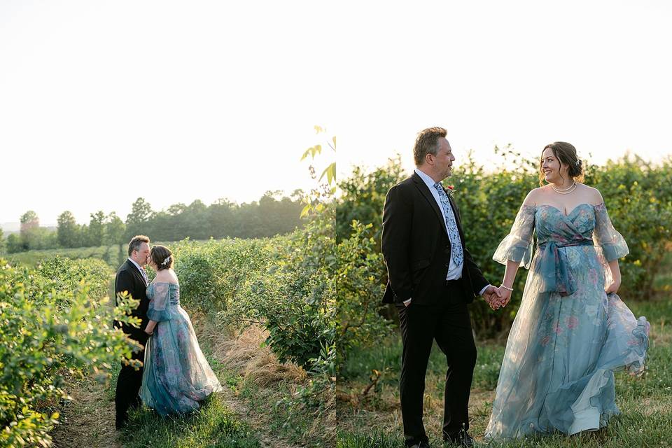 Blueberry Patch Wedding