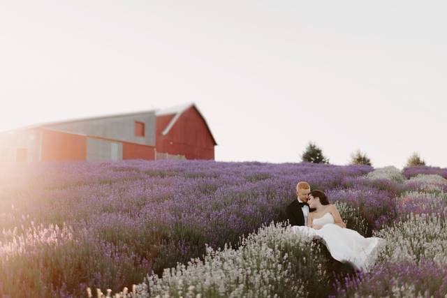 Lavender Hill Farm