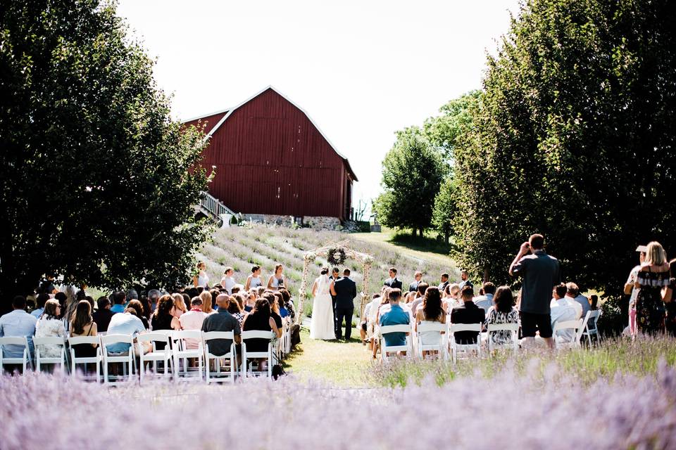 Moment in Time ceremony site