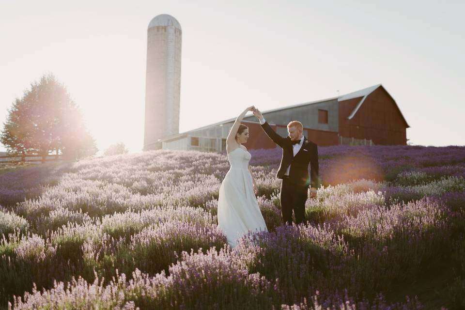 Culinary Lavender — Lavender Hill Farm