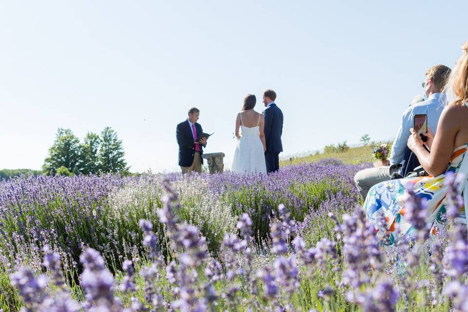 Ceremony in the Fields
