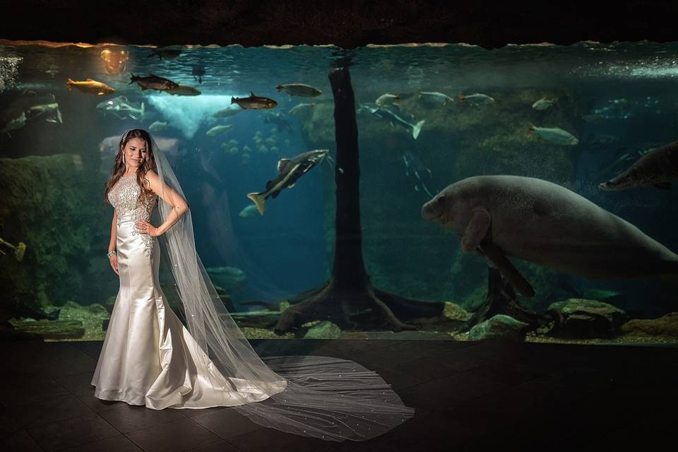 Photo By Lyncca Harvey Photo