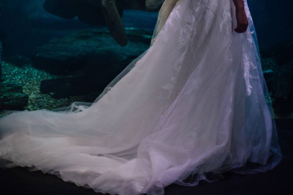 Photo By Breana Marie Photo