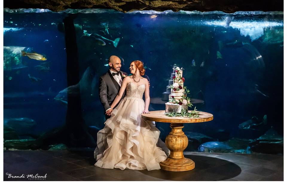 Photo by Brandi McCombs Photo