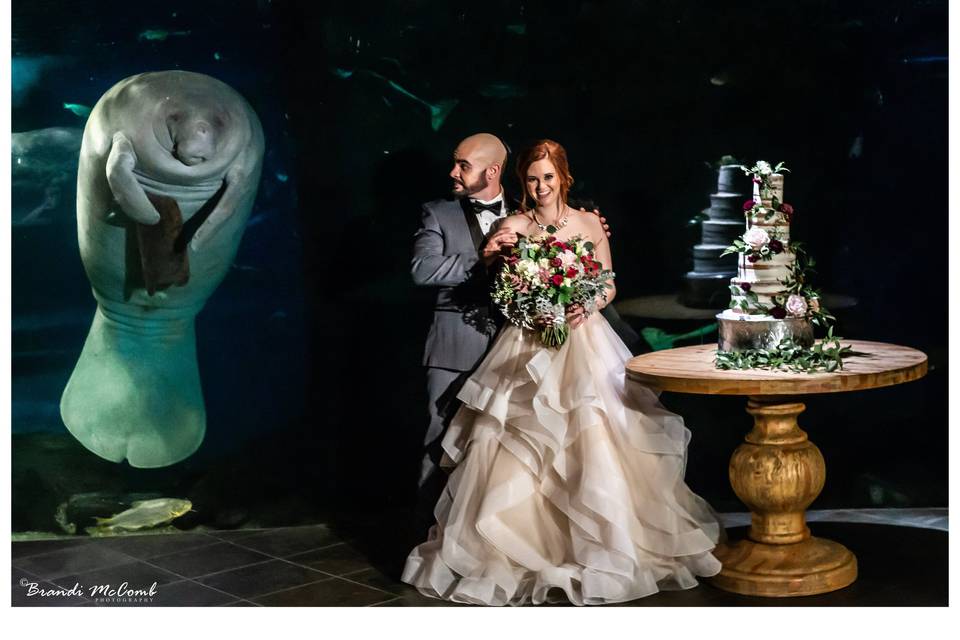 Photo by Brandi McCombs Photo