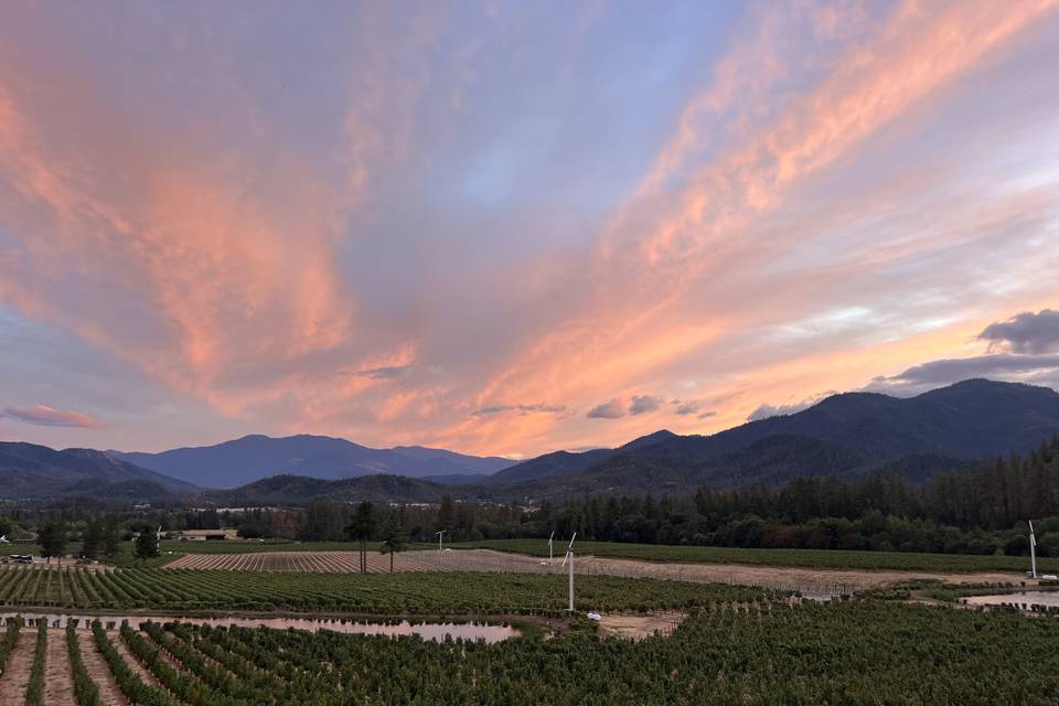 Sunset Vineyard