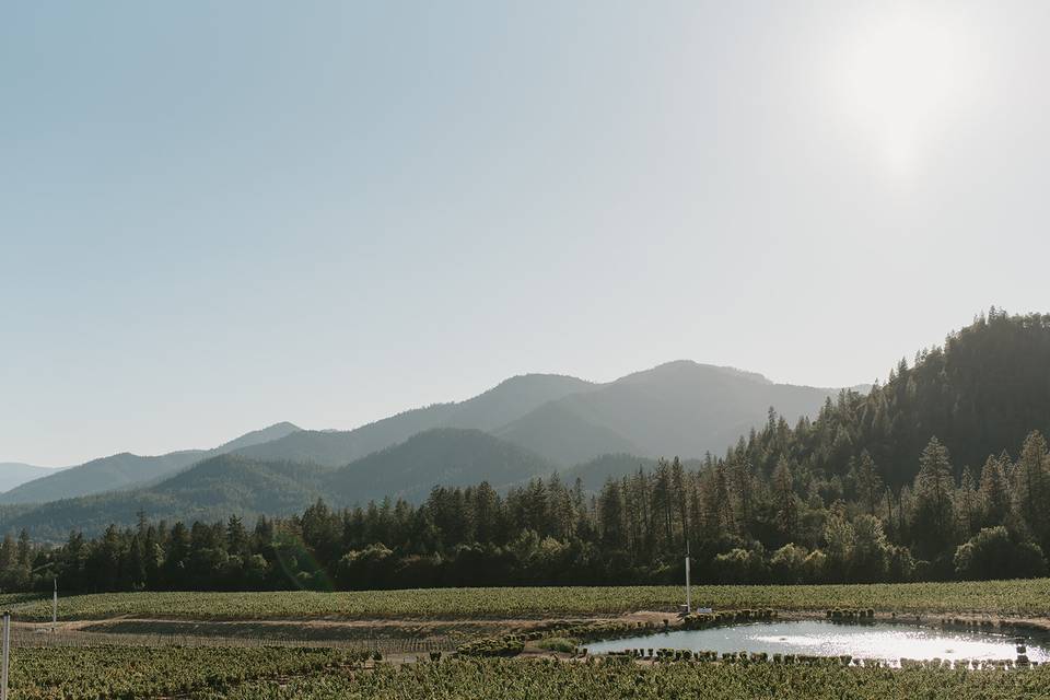 Siobhan Lynette Photography