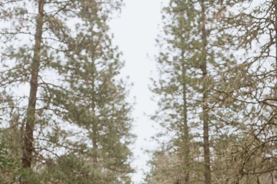 Rachel Dale Photography
