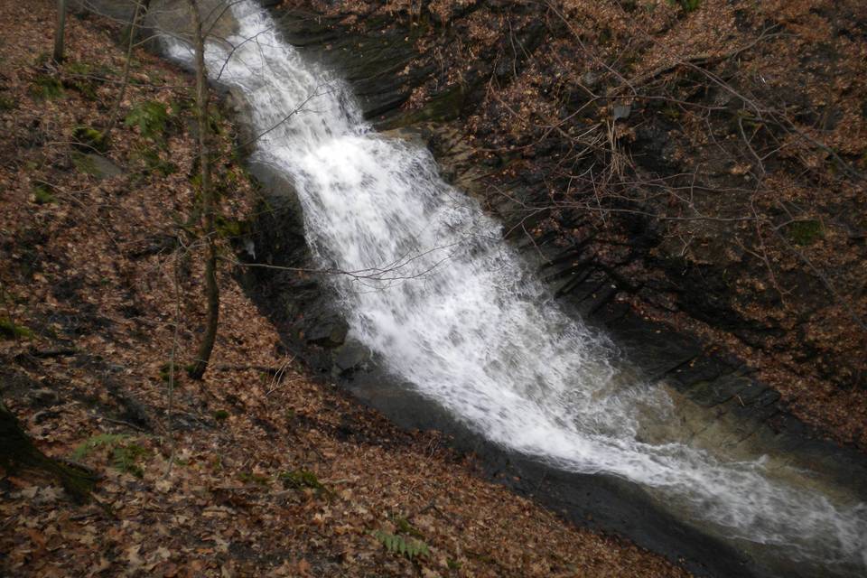 Cayuga Nature Center