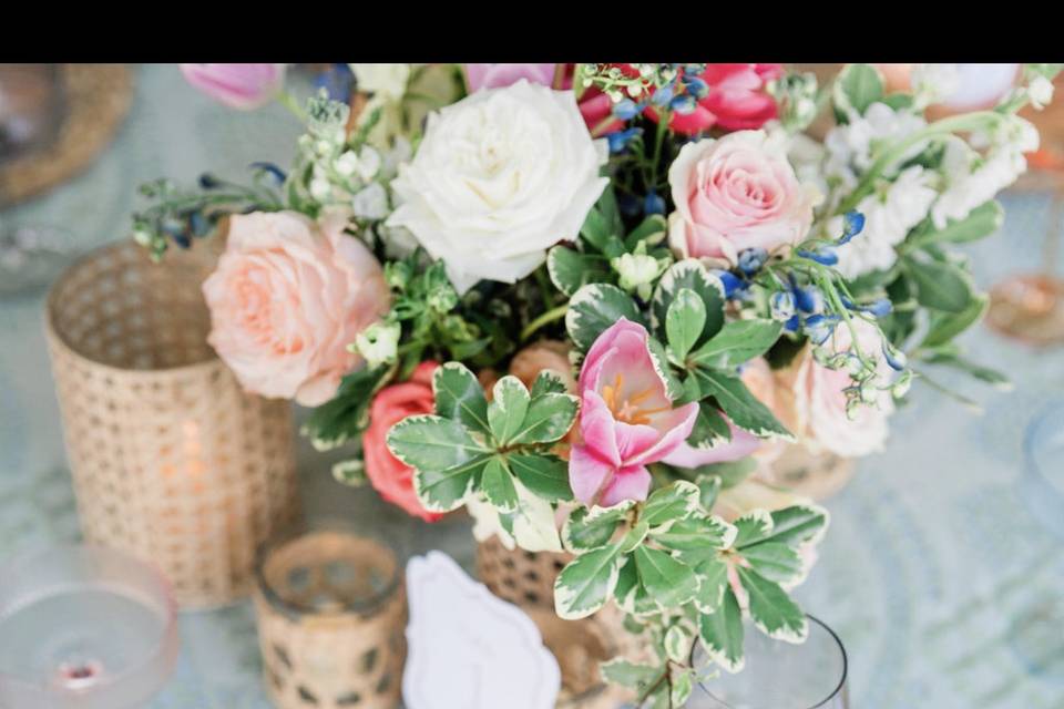 Macy Ryan Photography
