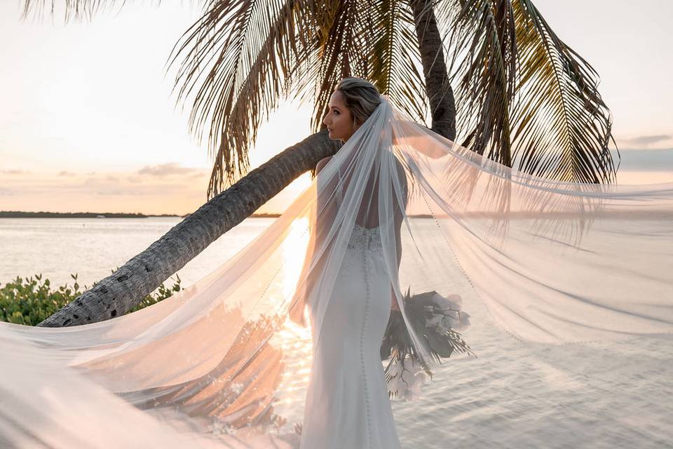 Vanilla Brides | Amara Cay