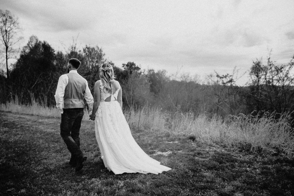 Pig Hill Farm & Vineyard