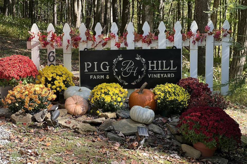 Pig Hill Farm & Vineyard